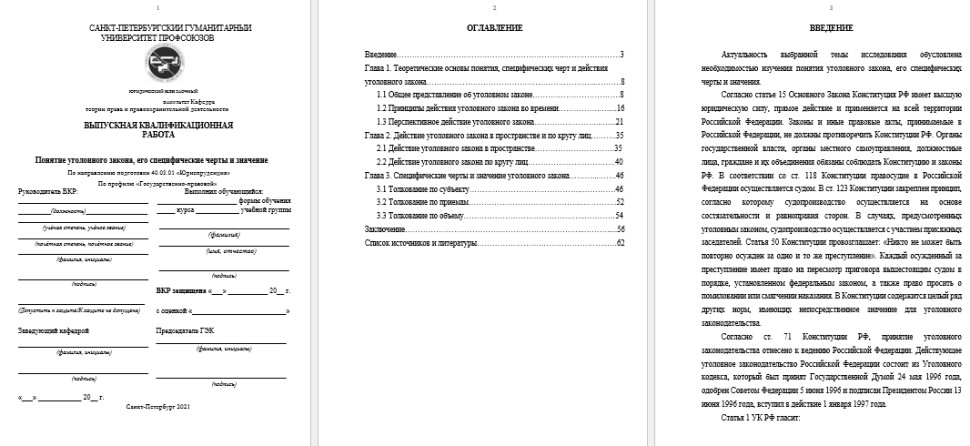 Юриспруденция СПбГУП Диплом Понятие уголовного закона, его специфические черты и значение